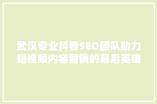 武汉专业抖音SEO团队助力短视频内容营销的幕后英雄