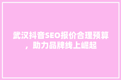 武汉抖音SEO报价合理预算，助力品牌线上崛起