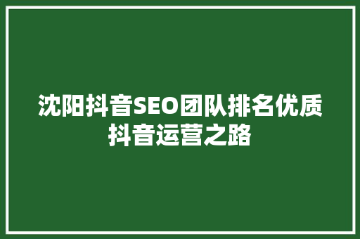 沈阳抖音SEO团队排名优质抖音运营之路