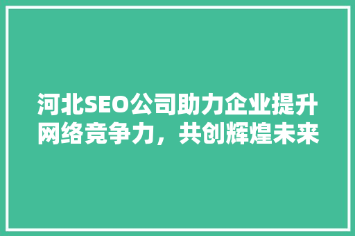 河北SEO公司助力企业提升网络竞争力，共创辉煌未来
