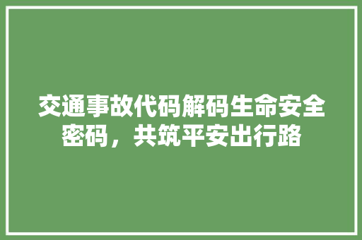 交通事故代码解码生命安全密码，共筑平安出行路