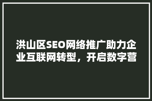 洪山区SEO网络推广助力企业互联网转型，开启数字营销新篇章