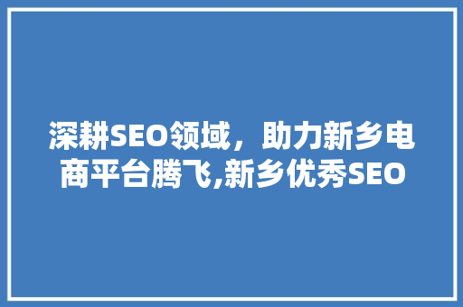 深耕SEO领域，助力新乡电商平台腾飞,新乡优秀SEO公司
