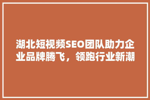 湖北短视频SEO团队助力企业品牌腾飞，领跑行业新潮流