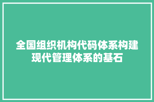 全国组织机构代码体系构建现代管理体系的基石