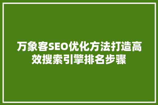 万象客SEO优化方法打造高效搜索引擎排名步骤