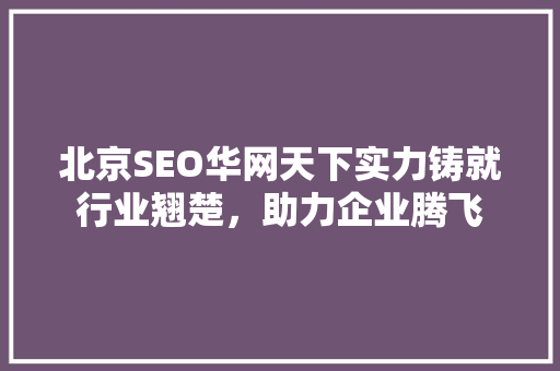 北京SEO华网天下实力铸就行业翘楚，助力企业腾飞