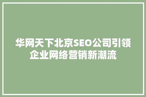 华网天下北京SEO公司引领企业网络营销新潮流