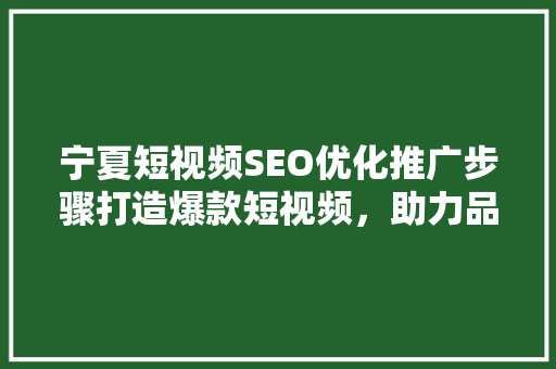 宁夏短视频SEO优化推广步骤打造爆款短视频，助力品牌腾飞