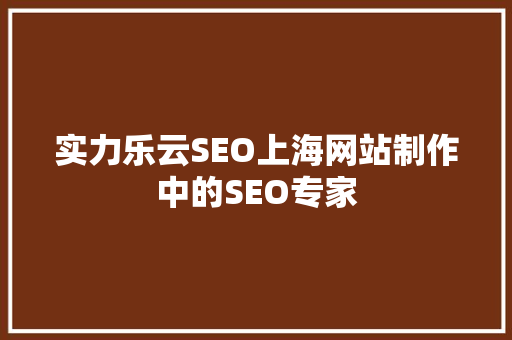 实力乐云SEO上海网站制作中的SEO专家