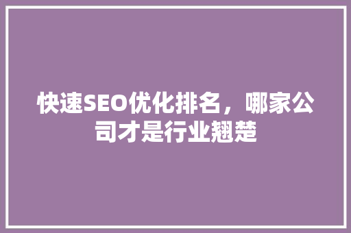 快速SEO优化排名，哪家公司才是行业翘楚