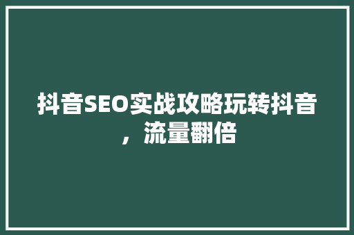 抖音SEO实战攻略玩转抖音，流量翻倍