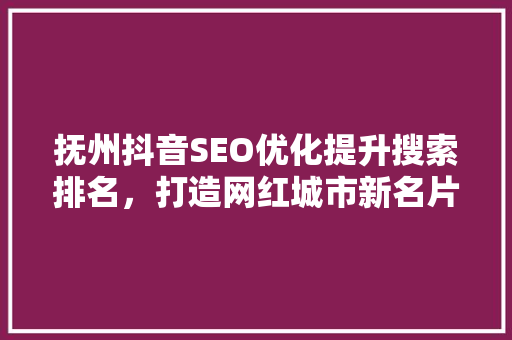 抚州抖音SEO优化提升搜索排名，打造网红城市新名片