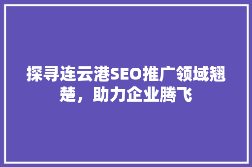 探寻连云港SEO推广领域翘楚，助力企业腾飞