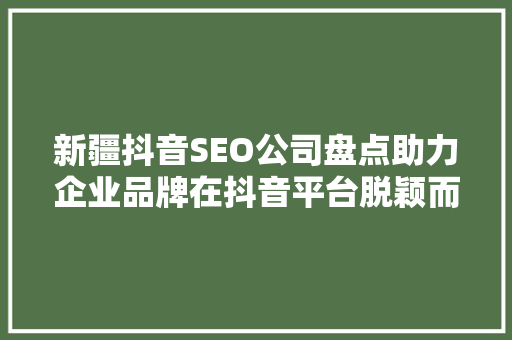 新疆抖音SEO公司盘点助力企业品牌在抖音平台脱颖而出