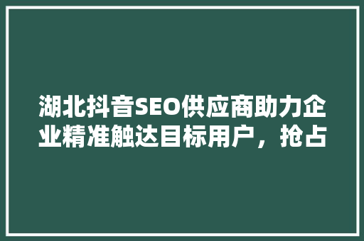 湖北抖音SEO供应商助力企业精准触达目标用户，抢占市场先机