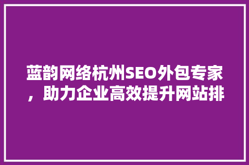 蓝韵网络杭州SEO外包专家，助力企业高效提升网站排名