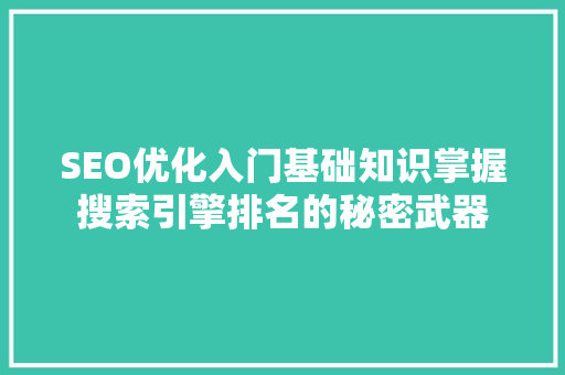 SEO优化入门基础知识掌握搜索引擎排名的秘密武器