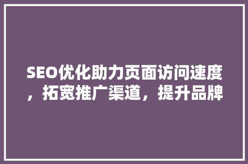 SEO优化助力页面访问速度，拓宽推广渠道，提升品牌影响力