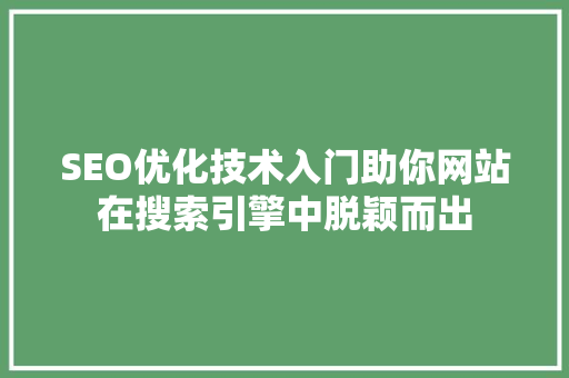 SEO优化技术入门助你网站在搜索引擎中脱颖而出