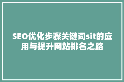 SEO优化步骤关键词sit的应用与提升网站排名之路