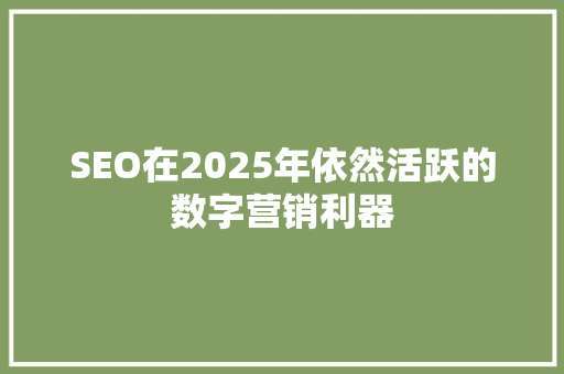 SEO在2025年依然活跃的数字营销利器