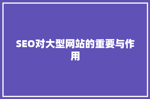 SEO对大型网站的重要与作用