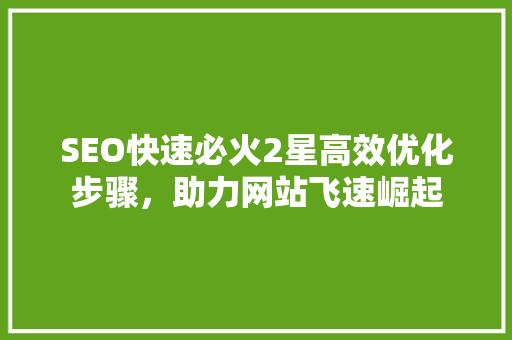 SEO快速必火2星高效优化步骤，助力网站飞速崛起