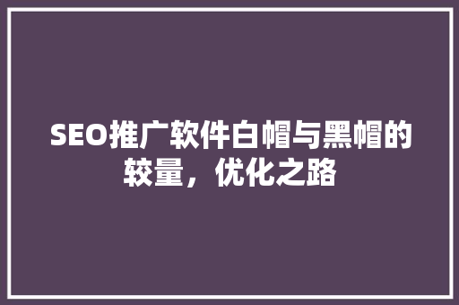 SEO推广软件白帽与黑帽的较量，优化之路