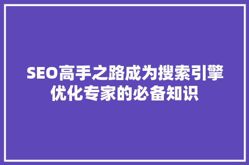 SEO高手之路成为搜索引擎优化专家的必备知识