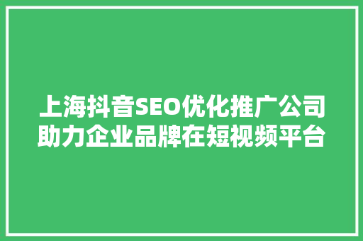上海抖音SEO优化推广公司助力企业品牌在短视频平台崛起