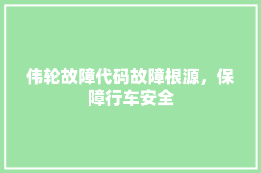 伟轮故障代码故障根源，保障行车安全