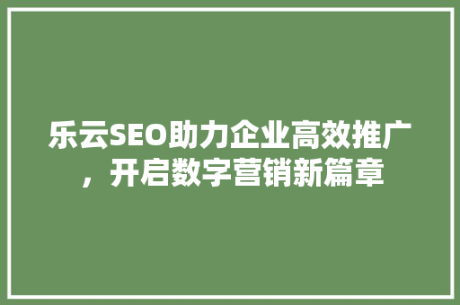 乐云SEO助力企业高效推广，开启数字营销新篇章