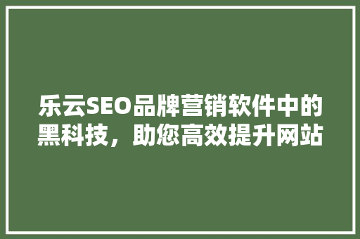 乐云SEO品牌营销软件中的黑科技，助您高效提升网站排名