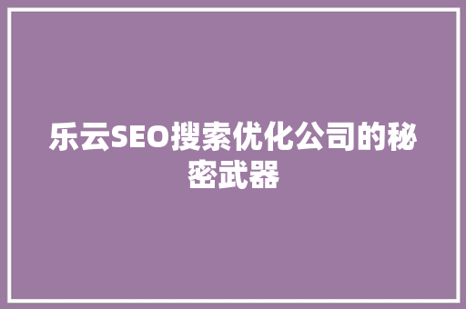 乐云SEO搜索优化公司的秘密武器