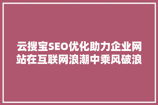 云搜宝SEO优化助力企业网站在互联网浪潮中乘风破浪