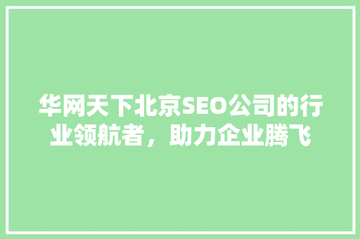 华网天下北京SEO公司的行业领航者，助力企业腾飞