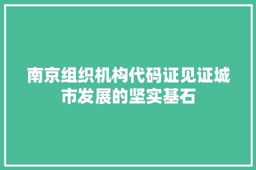 南京组织机构代码证见证城市发展的坚实基石