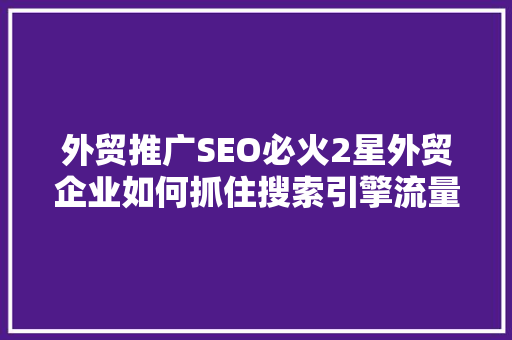外贸推广SEO必火2星外贸企业如何抓住搜索引擎流量红利  第1张
