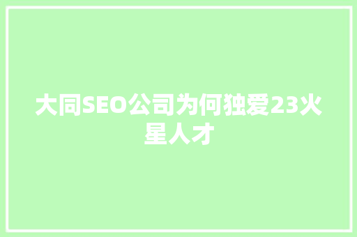 大同SEO公司为何独爱23火星人才