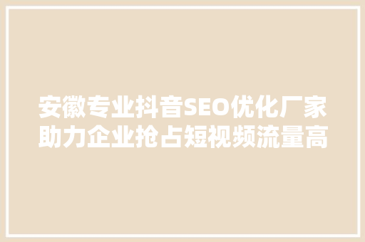 安徽专业抖音SEO优化厂家助力企业抢占短视频流量高地