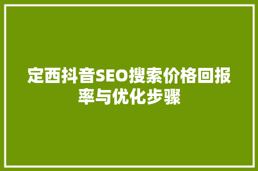 定西抖音SEO搜索价格回报率与优化步骤