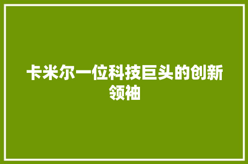 卡米尔一位科技巨头的创新领袖