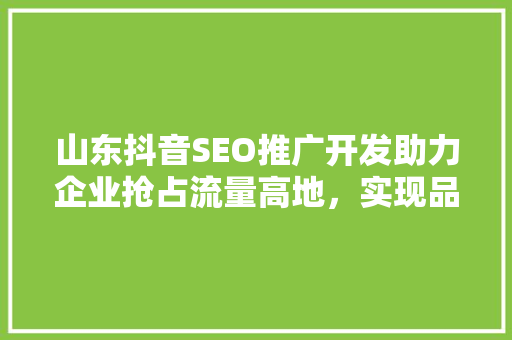 山东抖音SEO推广开发助力企业抢占流量高地，实现品牌价值最大化