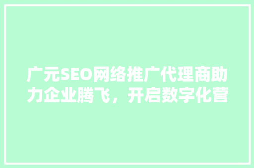 广元SEO网络推广代理商助力企业腾飞，开启数字化营销新时代