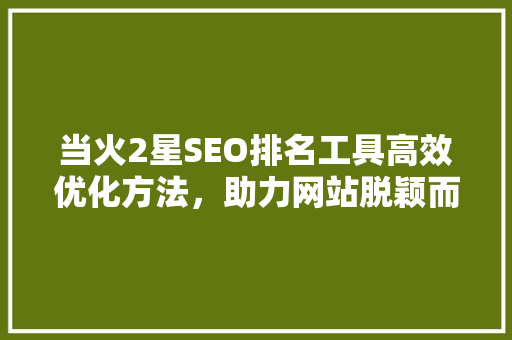 当火2星SEO排名工具高效优化方法，助力网站脱颖而出