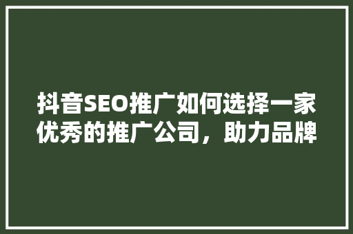 抖音SEO推广如何选择一家优秀的推广公司，助力品牌腾飞