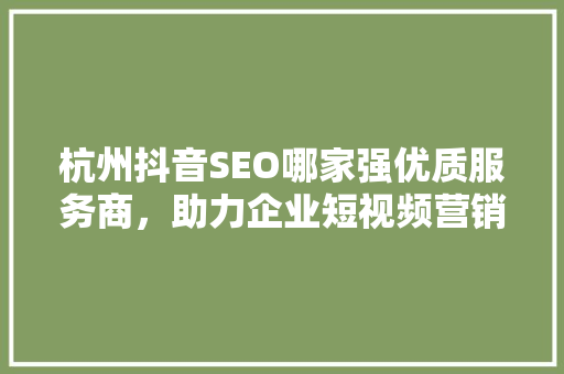 杭州抖音SEO哪家强优质服务商，助力企业短视频营销新高峰