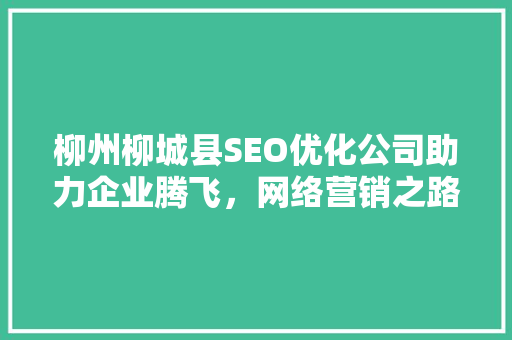 柳州柳城县SEO优化公司助力企业腾飞，网络营销之路