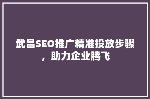 武昌SEO推广精准投放步骤，助力企业腾飞